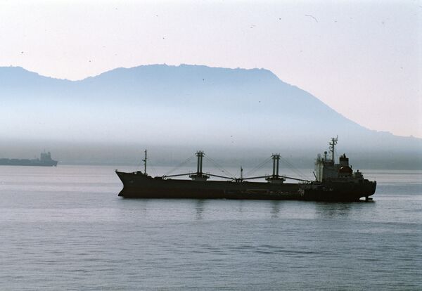 On Sunday, at 9:30 a.m. local time (23:30 GMT, Saturday), the Victor arrived in the port of Vladivostok - Sputnik International