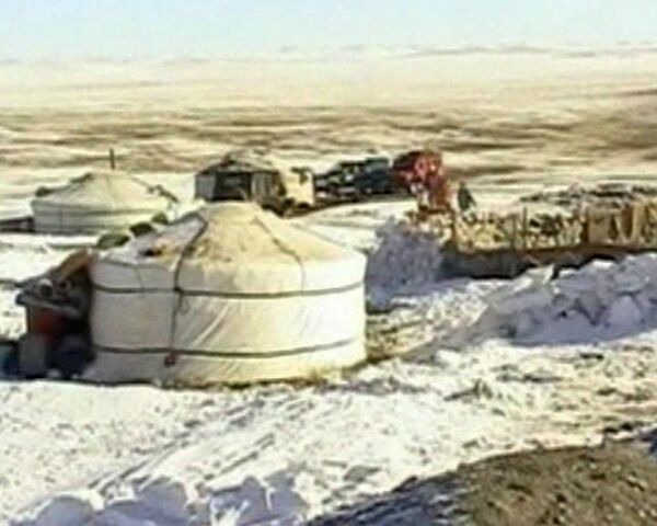 Nomads risk death as minus 40c hits Mongolia  - Sputnik International