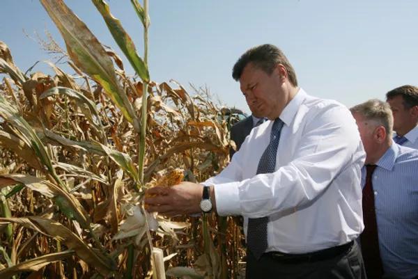 Front-runner in the Ukrainian presidential elections, Viktor Yanukovych - Sputnik International