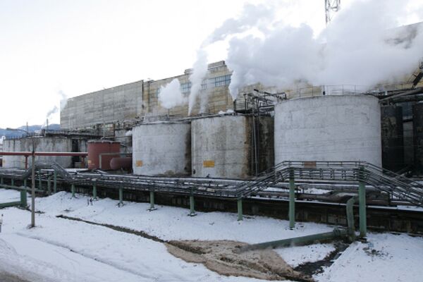 Seven days in photographs, January 16-22, 2010 - Sputnik International