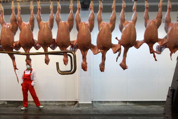 Russia lifts ban on poultry imports - Sputnik International