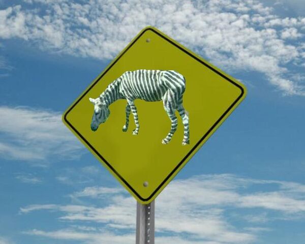 Circus Zebra on a road rampage  - Sputnik International