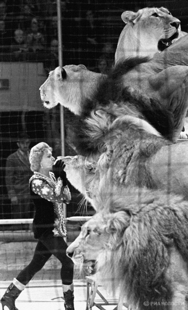 Animal tamer Irina Bugrimova with lions at her feet - Sputnik International