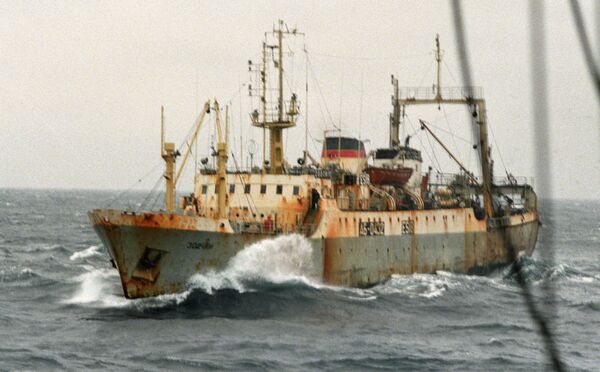 Trawler Zodchiy - Sputnik International