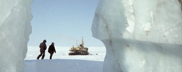 Russia seeks to extend border on Arctic continental shelf Russia seeks to extend border on Arctic continental shelf - Sputnik International