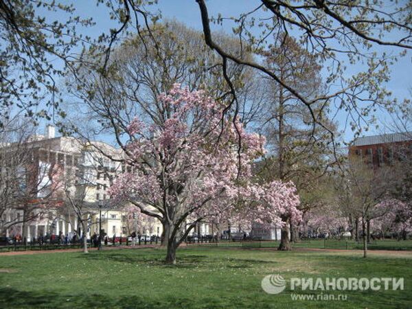 Spring comes to Washington - Sputnik International