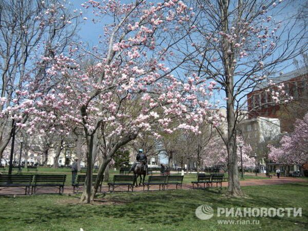 Spring comes to Washington - Sputnik International