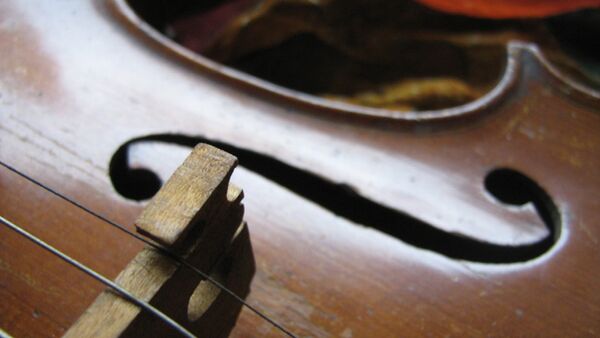  $400,000 violin stolen from Russian violinist in Austria - Sputnik International