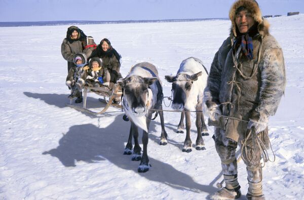 Rapid climate change is the main problem which faces the Arctic - Sputnik International