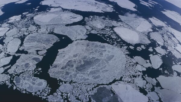 Arctic Ocean - Sputnik International