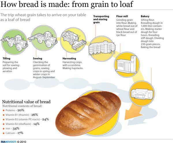 How bread is made: from grain to loaf - Sputnik International