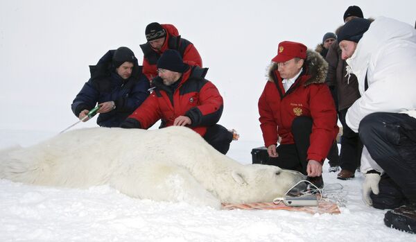 Arctic needs 'major cleaning' - Putin  - Sputnik International