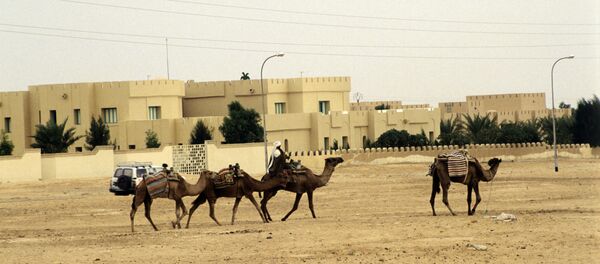 The UN Security Council has called for the UN Mission for the Referendum in Western Sahara (MINURSO) to be permitted to carry out its mandate in full capacity. The UN Security Council has called for the UN Mission for the Referendum in Western Sahara (MINURSO) to be permitted to carry out its mandate in full capacity. - Sputnik International