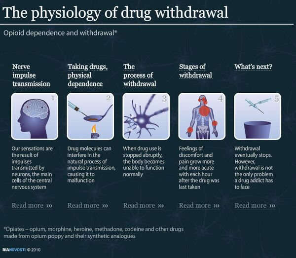 The physiology of drug withdrawal - Sputnik International