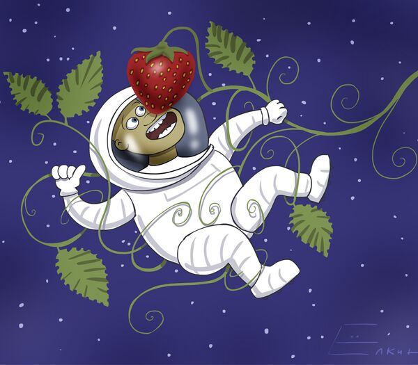 Space strawberries - Sputnik International