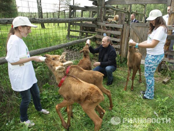 Vladimir Putin visiting Losiny Ostrov (Elk Island) National Park  - Sputnik International