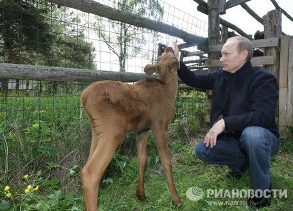 Vladimir Putin visiting Losiny Ostrov (Elk Island) National Park  - Sputnik International