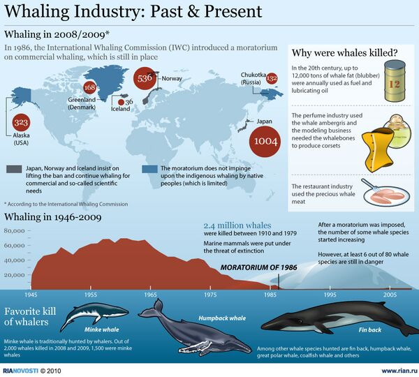 Whaling Industry - Sputnik International