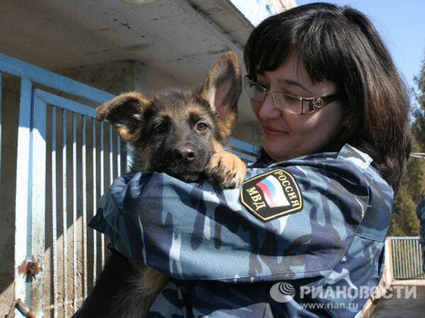 Police dogs honored in Russia - Sputnik International