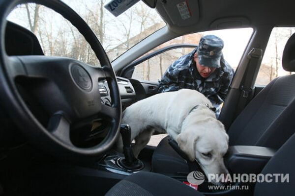 Police dogs honored in Russia - Sputnik International