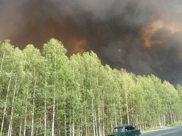Heat and drought spark forest fires in Russia - Sputnik International