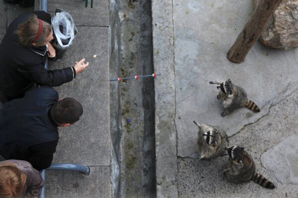 Moscow Zoo: unique animal world in the city center  - Sputnik International