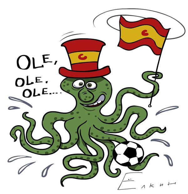 Octopus Paul goes for Spain in World Cup final - Sputnik International