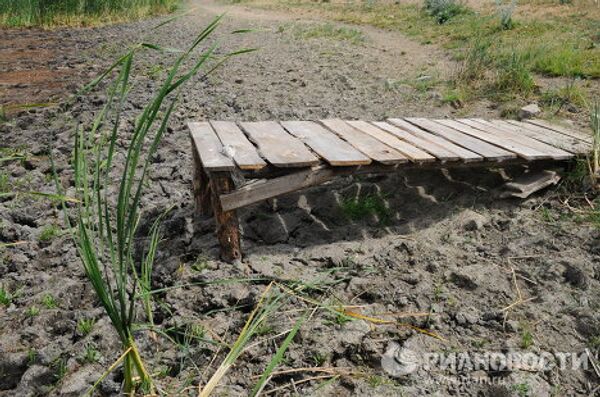 Affects of the severe draught in Chelyabinsk region - Sputnik International