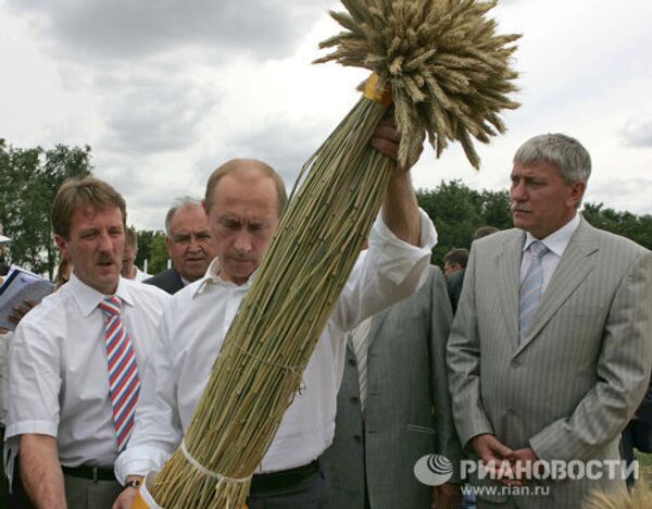 Leading Russian political figures in gardens and fields - Sputnik International