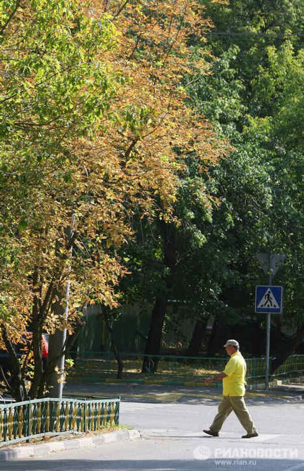 Moscow sees signs of fall in July - Sputnik International