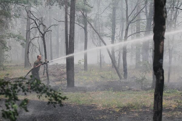 Some 240,000 people battling wildfires in Russia - Sputnik International