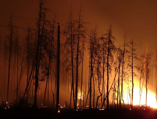 Wildfires in Russia claim 30 lives, over $150 mln in damage - Sputnik International