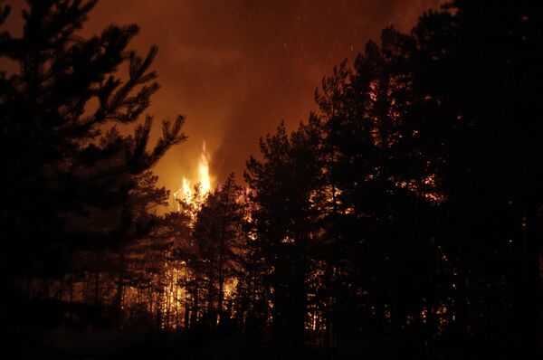 Wildfires raging in central Russia  - Sputnik International