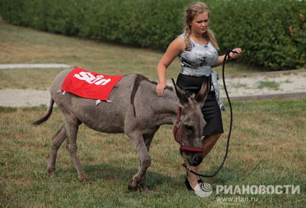 Parasailing donkey at Kremlin equestrian school - Sputnik International