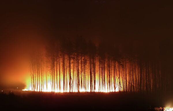 Wildfires in Russia in 2010. Voronezh - Sputnik International