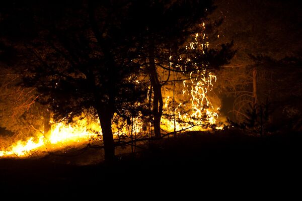 Wildfires extinguished in 5 Russian regions - Sputnik International