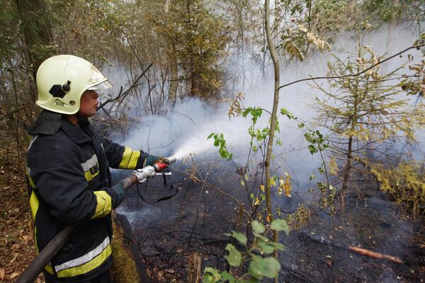 Russian wildfires area halved - Sputnik International