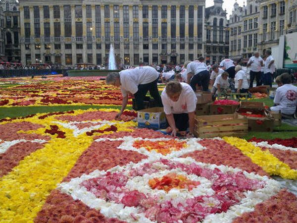 Flower carpet on the Grand Place in Brussels - Sputnik International