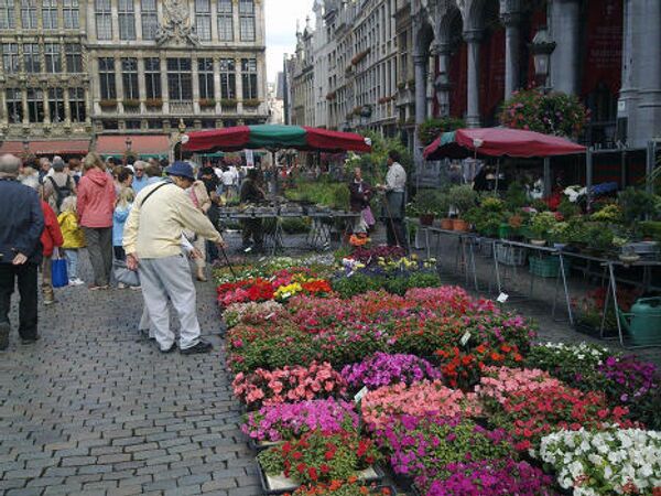 Flower carpet on the Grand Place in Brussels - Sputnik International