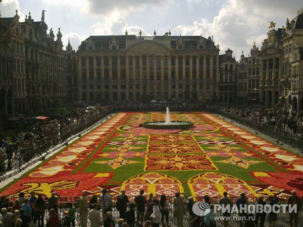 Flower carpet on the Grand Place in Brussels - Sputnik International