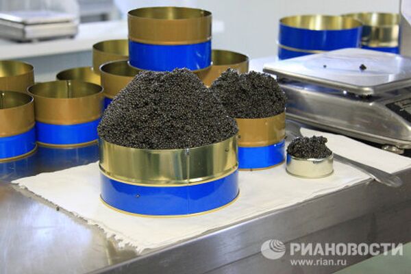 Black caviar production in Granada - Sputnik International