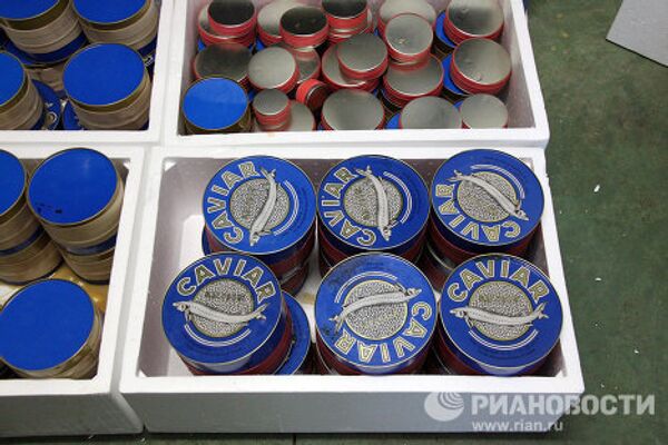 Black caviar production in Granada - Sputnik International