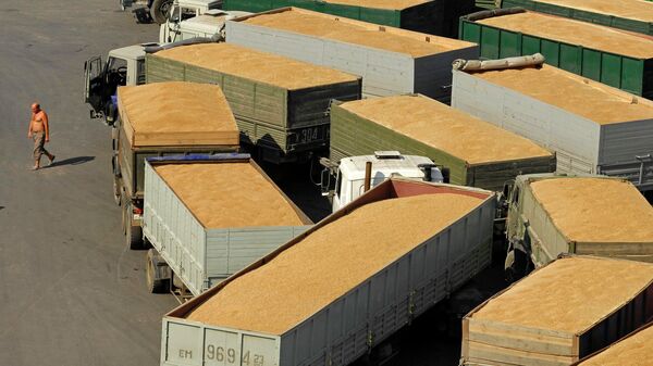 Trucks loaded with grain - Sputnik International