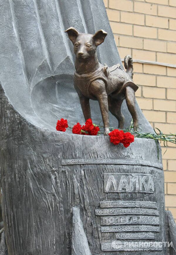 Belka, Strelka and other space dogs - Sputnik International