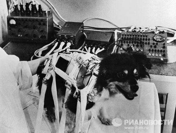 Belka, Strelka and other space dogs - Sputnik International