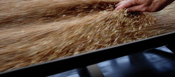 Работа зернового терминала Работа зернового терминала - Sputnik International