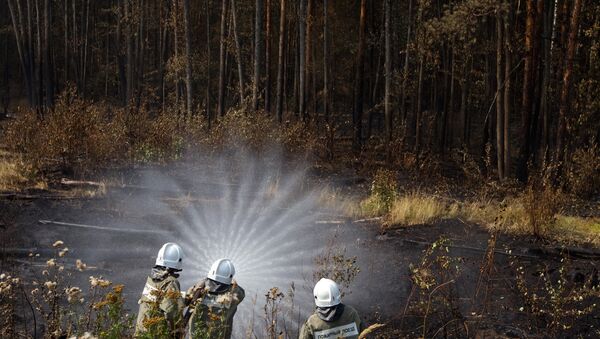 Firefighters extinguish a wildfire - Sputnik International
