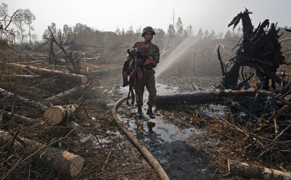 Over 200 wildfires still raging in Russia  - Sputnik International