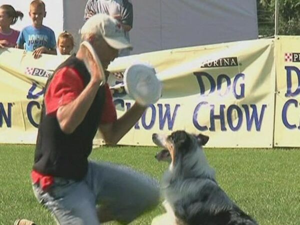 “Disc-dogging” hits Hungary - Sputnik International