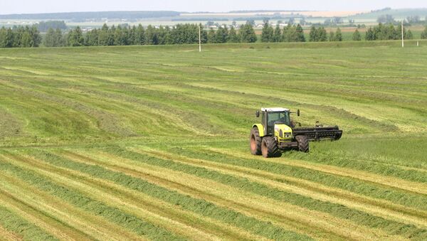 Sanctions have positive impact on Russia's agriculture - Sputnik International